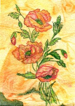 "Poppies" by Audrey J. Wilde, Wausau WI - Watercolor